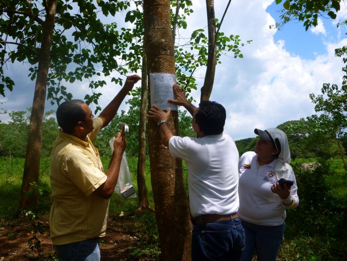 La comunidad de Las Palmas fue desplazada en noviembre de 1999. FOTO ARCHIVO-COLPRENSA.