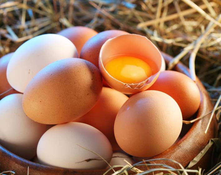 “Buscamos que los colombianos entiendan la importancia de consumir proteínas”: Fenavi