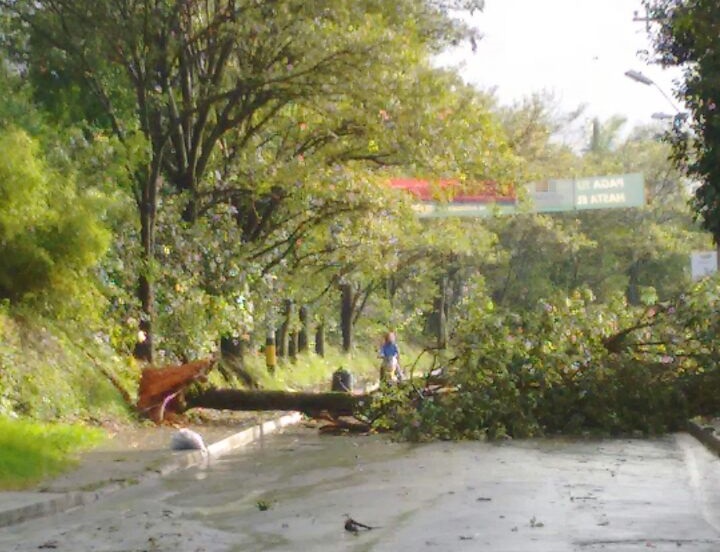 Un aguacero, acompañado por un vendaval tumbó, hacia las 4:30 p.m. de este jueves, varios árboles y destechó viviendas en el sur del municipio de Itagüí y límites con La Estrella. FOTO gecheverrimuñoz