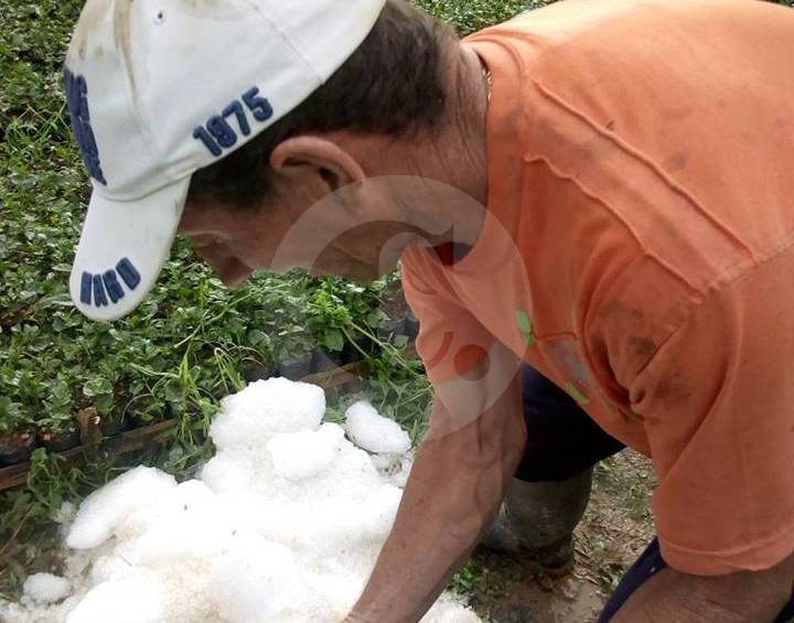 La granizada destruyó cultivos y afectó viviendas. FOTO TOMADA DE ANTNOTICIAS