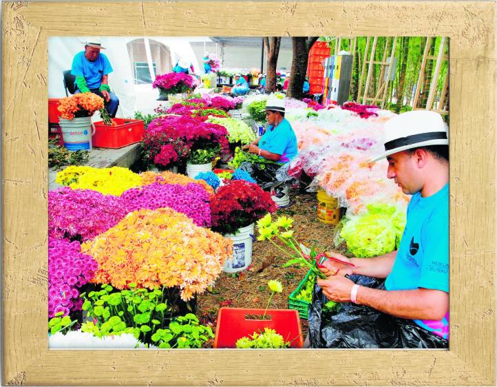Gigantes de flores están de carnaval por Colombia
