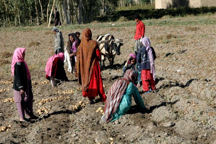 Los agricultores sufren mayor problemas de salud por el cambio climático. Foto Pixnio