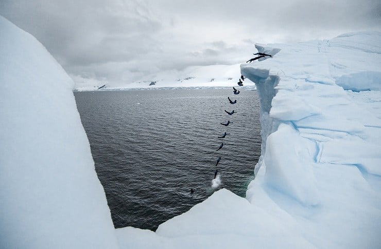 Desde un iceberg, en la Antártida.