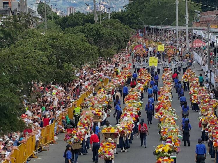 Así se ve el Desfile de Silleteros en la avenida Guayabal. FOTO Donaldo Zuluaga
