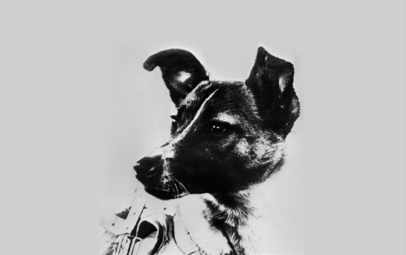 Laika era una perra fotogénica. La cápsula en la que viajó era rudimentaria y eso aceleró su muerte. Abajo, preparación de la Sputnik 2 en la que viajó al espacio. FOTOS AFP