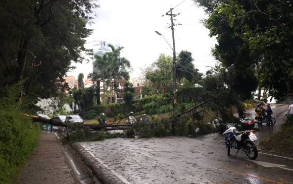 Foto Twitter @AkaSancho