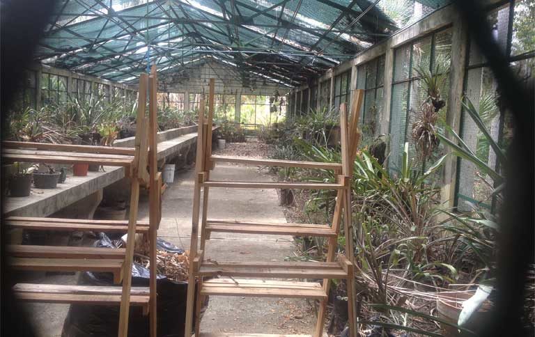 Así luce el herbario del Jardín Botánico de Caracas, con plantas muertas.