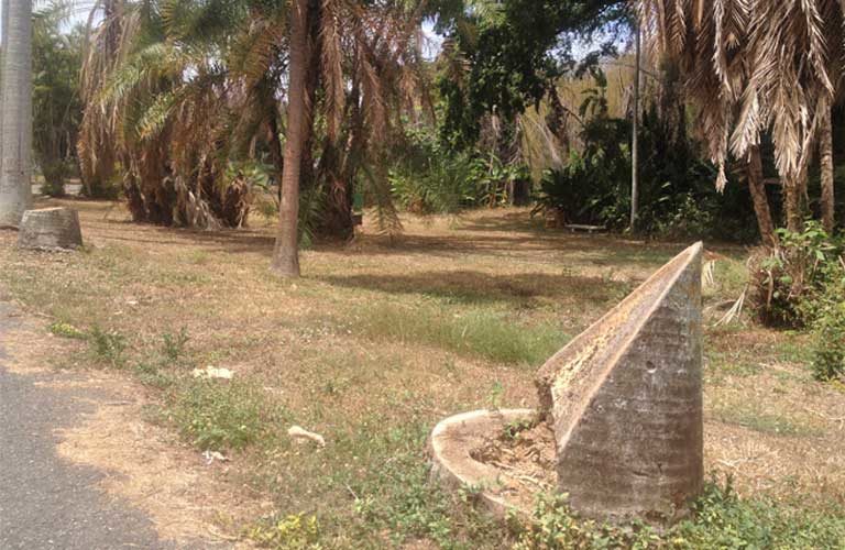 Las hojas secas, amarillentas y sin cuidado son la constante en el Jardín Botánico.FOTOS Mongabay