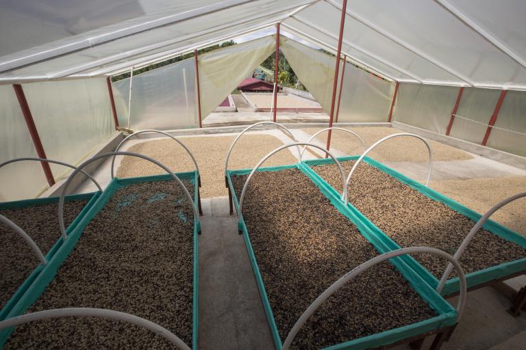 Reglas claras para el subsidio al café