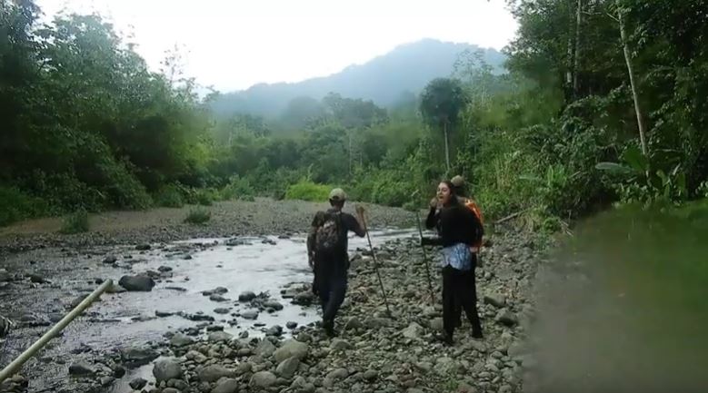 El hallazgo tuvo lugar en la playa del río Mecana, en Bahía Solano (Chocó). FOTO: CAPTURA DE PANTALLA
