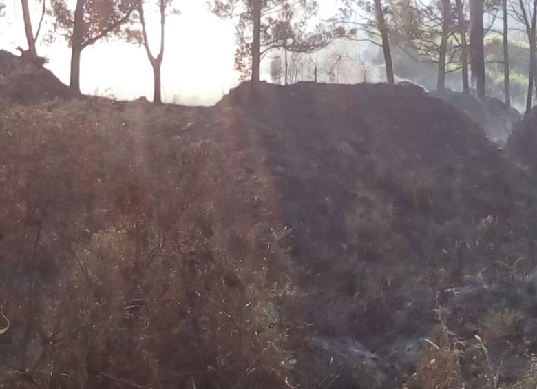 El director del Dagrd, Camilo Zapata Wills, confirmó este sábado la atención de varios incendios forestales en Medellín, en los sectores de Rodeo Alto, Parque Arví y San Javier. FOTO CORTESÍA