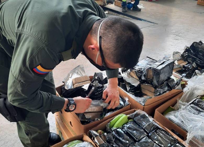 La droga estaba camuflada en cajas que con bananos. FOTO CORTESÍA POLICÍA