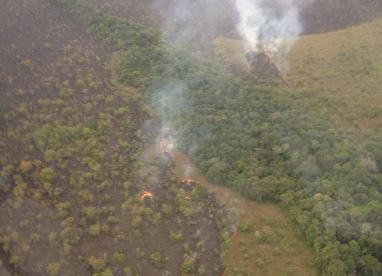 El incendio forestal afectó los sectores de La Laguna y Caño Caribe, en la reserva forestal Parque Nacional El Tuparro, ubicado en el departamento del Vichada. FOTO CORTESÍA FAC