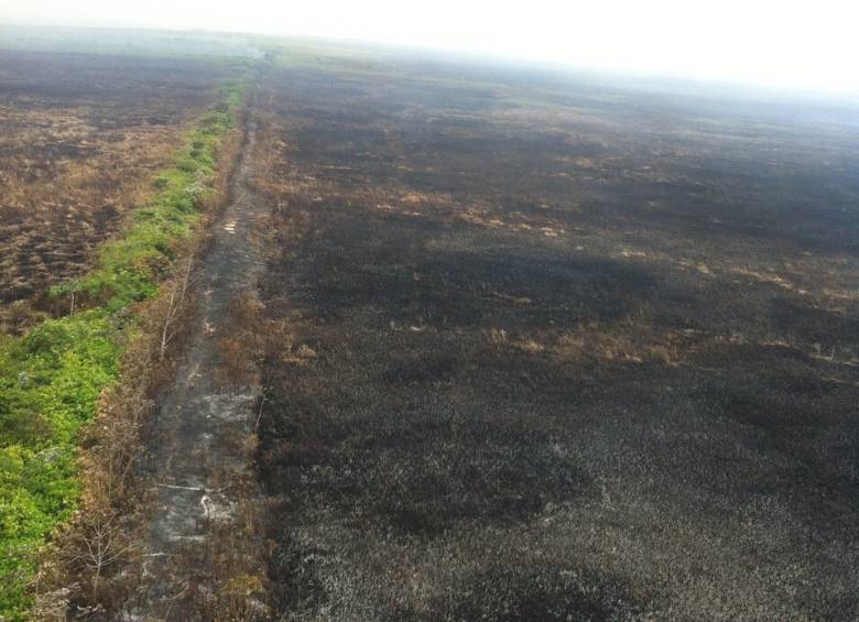 El fuego consume una zona de humedales y bosques cerca al mar Caribe, por lo que la brisa aviva las llamas FOTO Cortesía raúl pérez