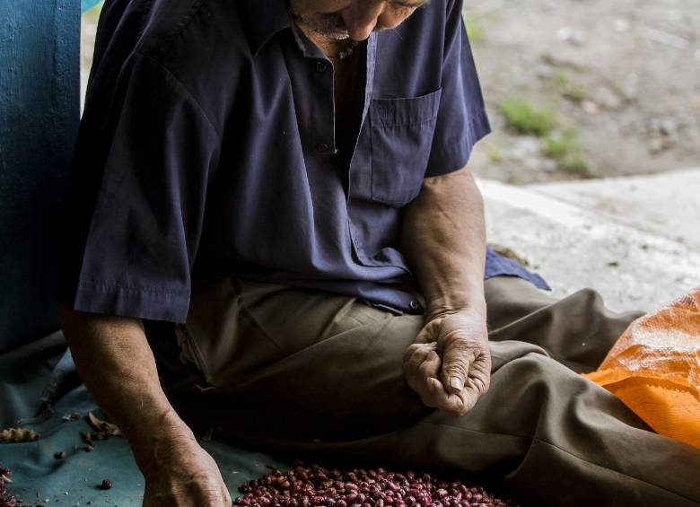 Tenga 70 o 90 años, el campesino no puede parar de trabajar