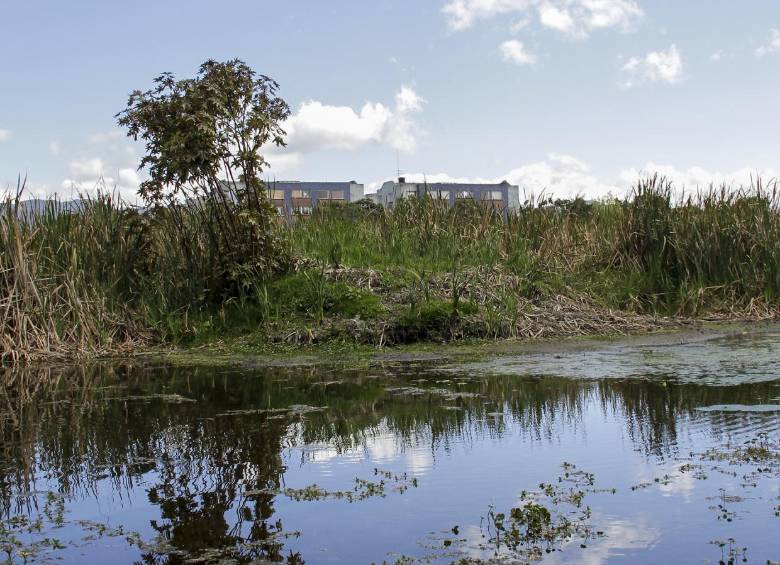 Colombia tiene alrededor de 20 millones de hectáreas de humedales representadas en ciénagas. FOTO colprensa
