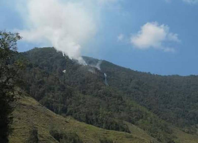 Este incendio que afecta las laderas del páramo de Santa Inés o Belmira se inicio por manos criminales. FOTO Cortesía