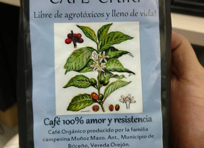 El café que crece en medio de la coca y las minas antipersonal
