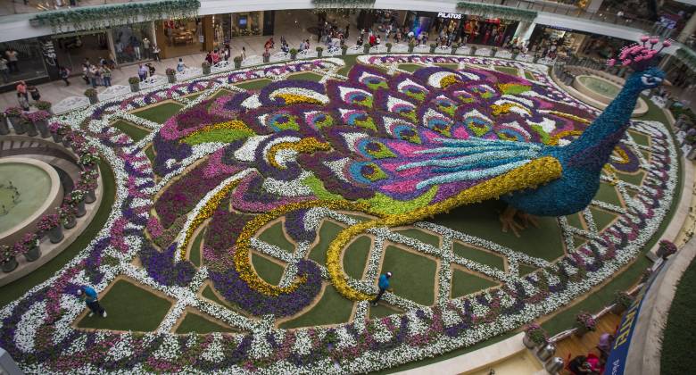 En total, el centro comercial Santafé Medellín tiene 14 premios incluyendo el más reciente y varias nominaciones. 
