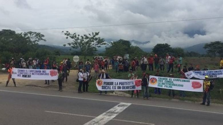 En Antioquia se reportaron concentraciones en Santa Rosa, Puerto Valdivia, Tarazá, Rionegro, Toledo y Donmatías. FOTO Cortesía