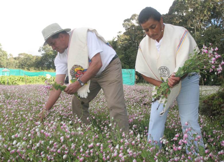 Santa Elena, la cuna de las silletas, vista desde el aire