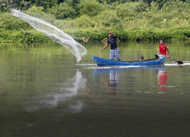 Las actividades sostenibles permitirán asegurar los recursos para las futuras generaciones. En la foto, pesca en el mar en Acandí, Chocó. FOTO ARCHIVO