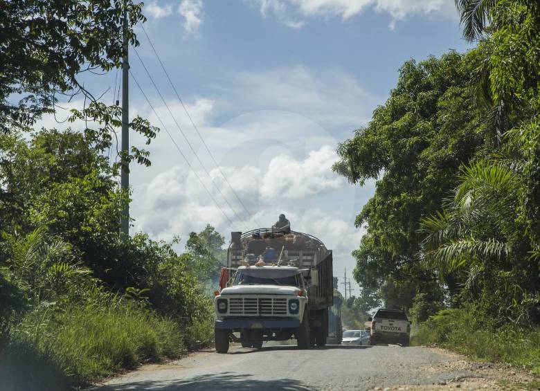 La región del Catatumbo es de las zonas más complejas del conflicto en el momento. FOTO JULIO CÉSAR HERRERA