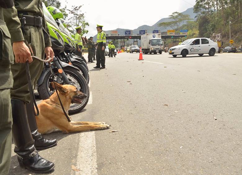FOTO CORTESÍA POLICÍA ANTIOQUIA