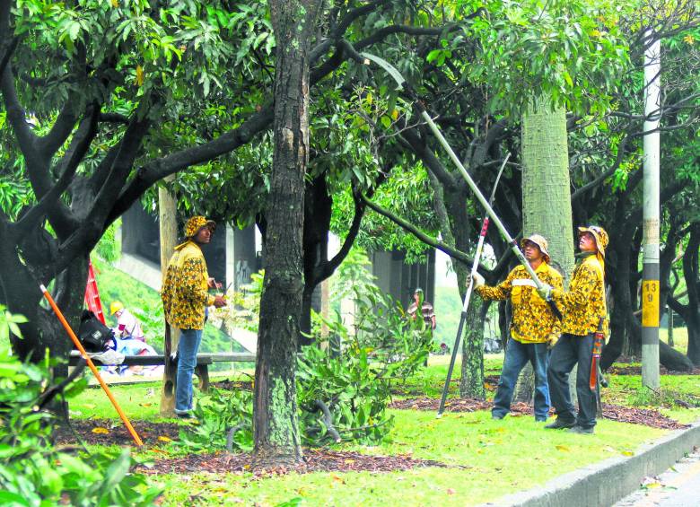 Las zonas verdes en el sector de intervención también reciben una mano para su cuidado. FOTO RÓBINSON SÁENZ