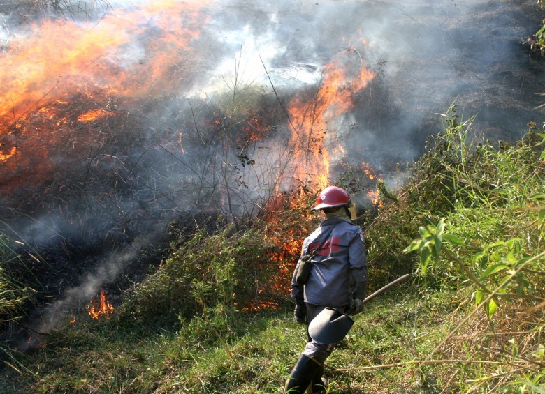 Municipios de las nueve subregiones del departamento podrían presentar incendios de la cobertura vegetal en zonas de bosques, cultivos y pastos. FOTO Donaldo Zuluaga