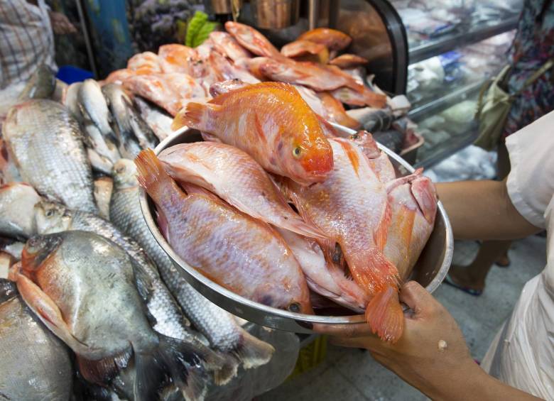 La pesca debe hacerse responsablemente, es decir, que las especies no estén en peligro de extinción, y no se usen métodos peligrosos como explosivos o venenos. FOTO Edwin bustamante