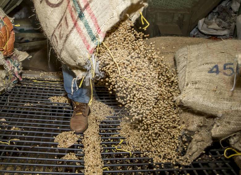 En mayo las exportaciones de café de Colombia cayeron 15 %, a 871.000 sacos de 60 kilos cada uno. Foto Juan Antonio Sánchez
