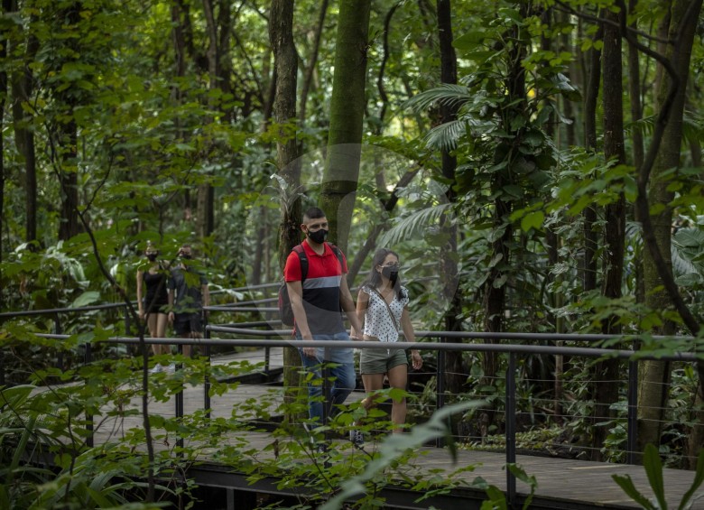 Con recorridos unidireccionales, señalización, toma de temperatura, registro y lavado de manos, niños, jóvenes y adultos pudieron retornar al Jardín Botánico de Medellín. FOTO Camilo Suárez