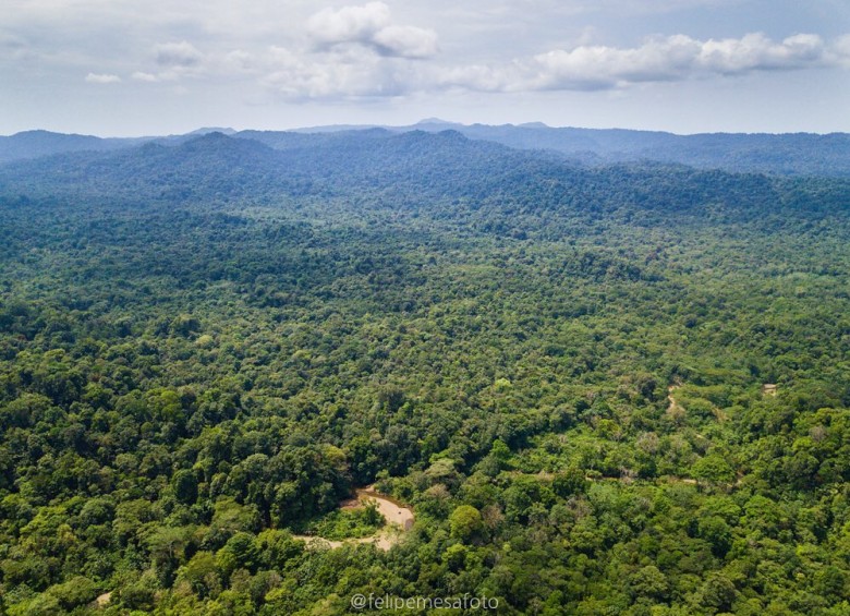 El documental Expedición Tribugá busca sensibilizar sobre este territorio, uno de los más biodiversos del planeta según la Unesco. Foto: Instagram @exptribuga @felipemesatoro