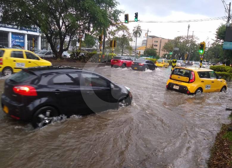 Varios árboles quedaron en las vías por la fuerte lluvia. FOTO CARLOS VELÁSQUEZ - JAIME PÉREZ