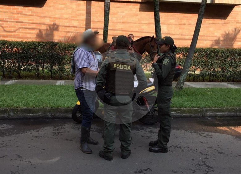 Rescatan una mula con múltiples heridas por maltrato en Medellín