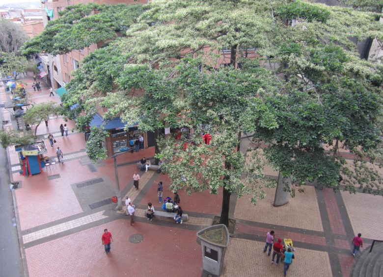 El árbol está sembrado en uno de los costados de la estación San Antonio. FOTO MAURICIO PALACIO