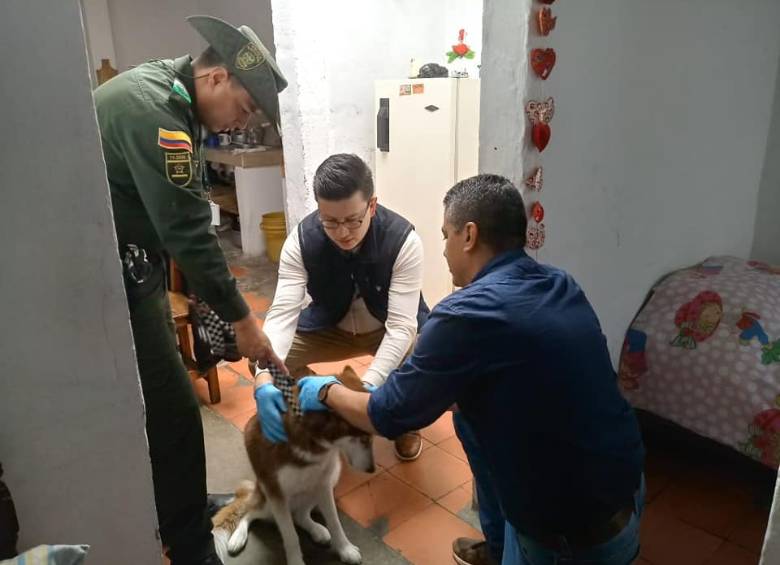 La mascota está ahora bajo custodia de la abuela de los niños maltratados. FOTO TOMADA DEL FACEBOOK DE ALEJANDRO GAVIRIA