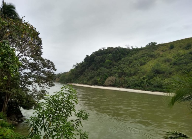 Así se veía el río Cauca el pasado miércoles. FOTO EPM