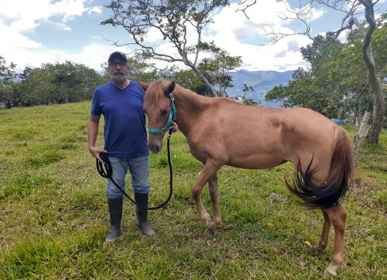 Canela estaba en estado de abandono en Medellín. Ahora tiene nuevo hogar en el norte del Aburrá. FOTO CORTESÍA