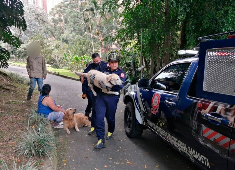 Los Bomberos atendieron la situación y trasladaron a las personas afectadas al hospital de Sabaneta. Las mascotas fueron llevadas a un centro veterinario. FOTO CORTESÍA