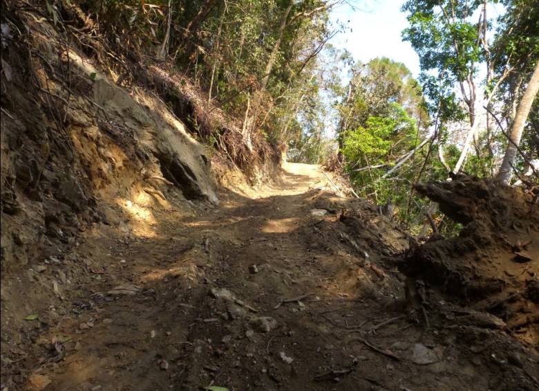 La denuncia fue hecha por la Fundación ProAves la cual dio a conocer que máquinas excavadoras abren caminos, en comprensión rural del corregimiento de Minca. FOTO CORTESÍA
