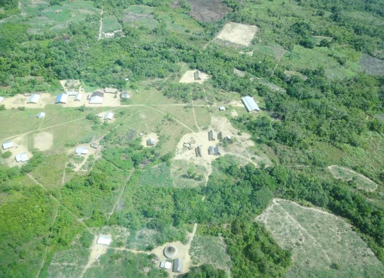 La ganadería expansiva es una de las principales causas de la deforestación. FOTO COLPRENSA