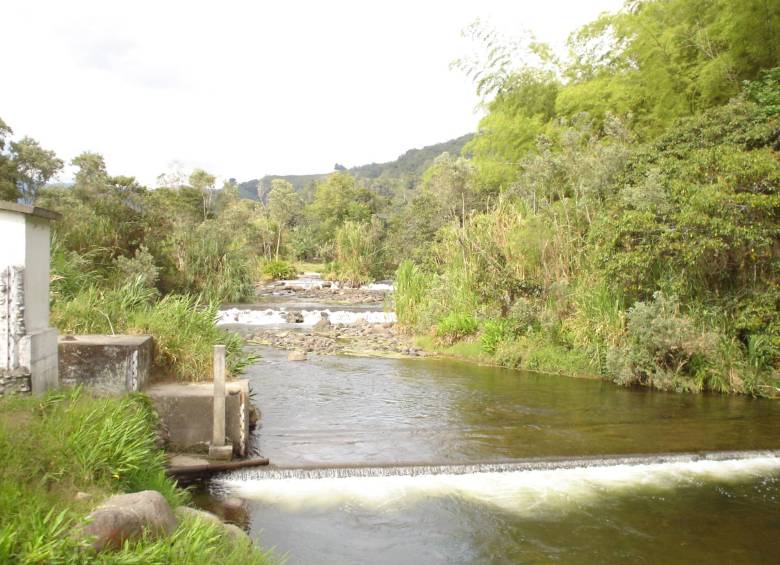 Tribunal Administrativo ordenó al gobernador ejercer la tutoría y representación de los derechos del río por medio de la Secretaría de Aguas e Infraestructura. FOTO COLPRENSA