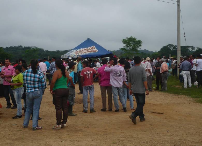 El objetivo es que se dé paso a la creación de una zona de reserva campesina en el Catatumbo, para darle paso así a la concentración de las Farc, si se termina la negociación. FOTO COLPRENSA