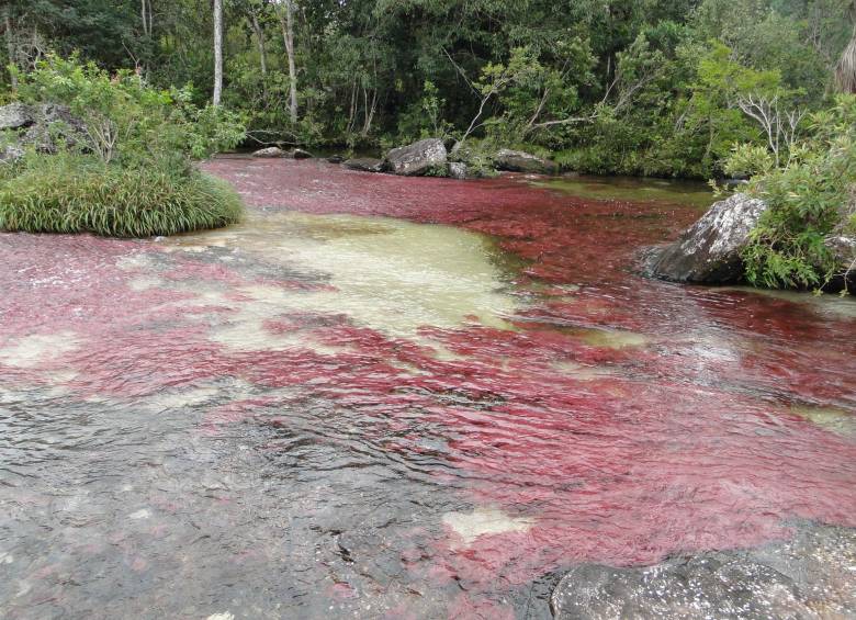 La defensa de Caño Cristales unió a políticos de todo el espectro ideológico del país. FOTO Colprensa