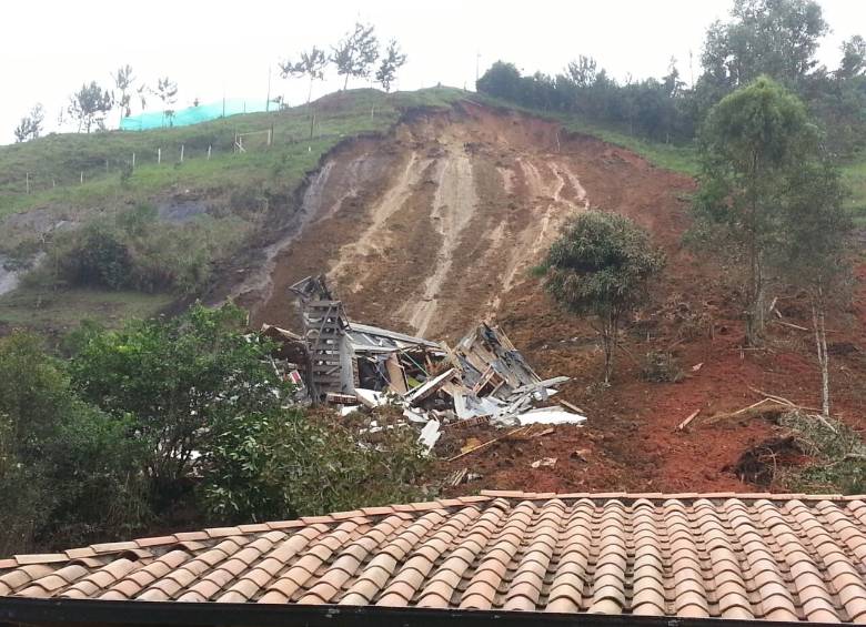 Foto Cortesía Dapard