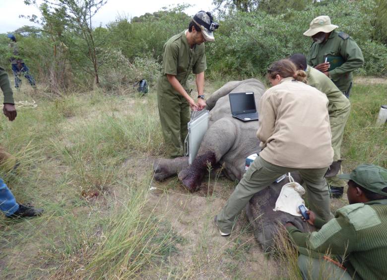 Los veterinarios finalmente tuvieron que tomar la “muy dolorosa” decisión de sacrificarla el fin de semana. FOTO AP