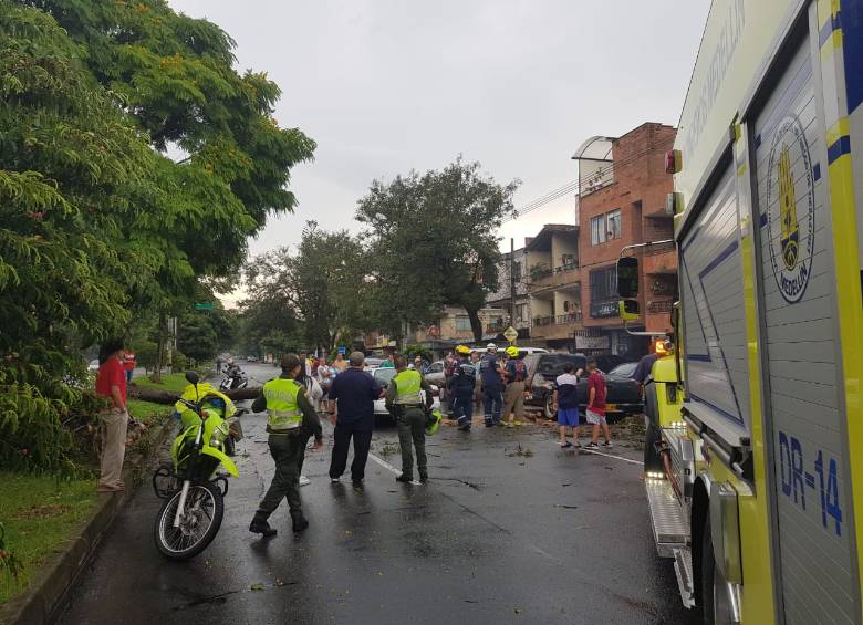 Otro colapso de un árbol tuvo lugar en la calle 21 con carrera 80, también sin heridos. FOTO: Cortesía Guardianes Antioquia. 