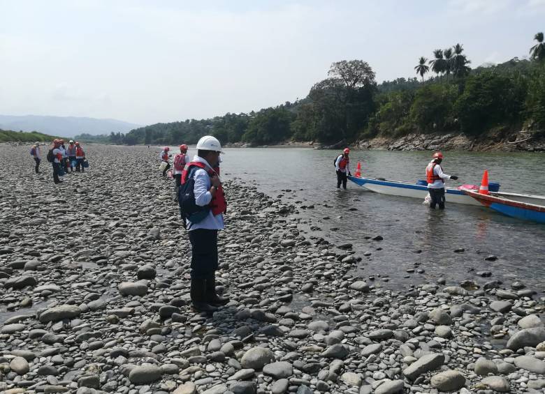 ¿Qué pasa con los peces recuperados a orillas del Cauca?